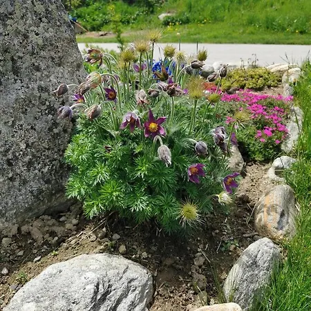 Apartmán Mit Traumhafter Aussicht Goms