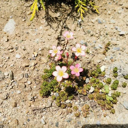 Mit Traumhafter Aussicht Daire