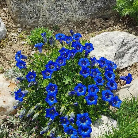 Mit Traumhafter Aussicht Daire *