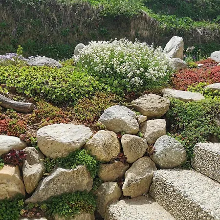 Mit Traumhafter Aussicht Daire Goms