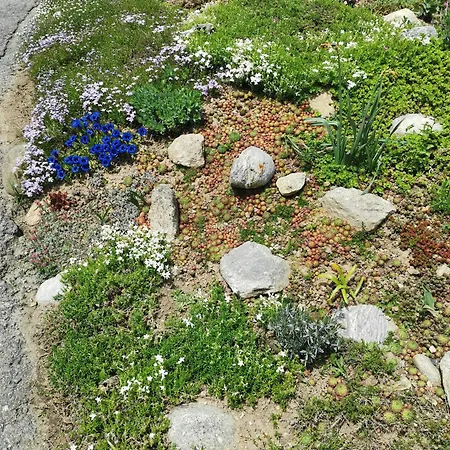 Mit Traumhafter Aussicht 아파트 Goms