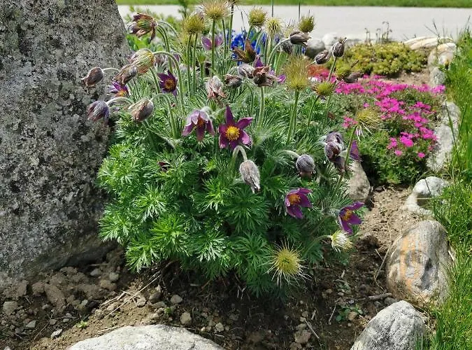 Apartman Mit Traumhafter Aussicht Goms