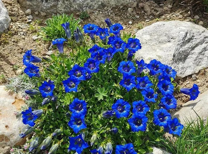 Mit Traumhafter Aussicht Apartman *