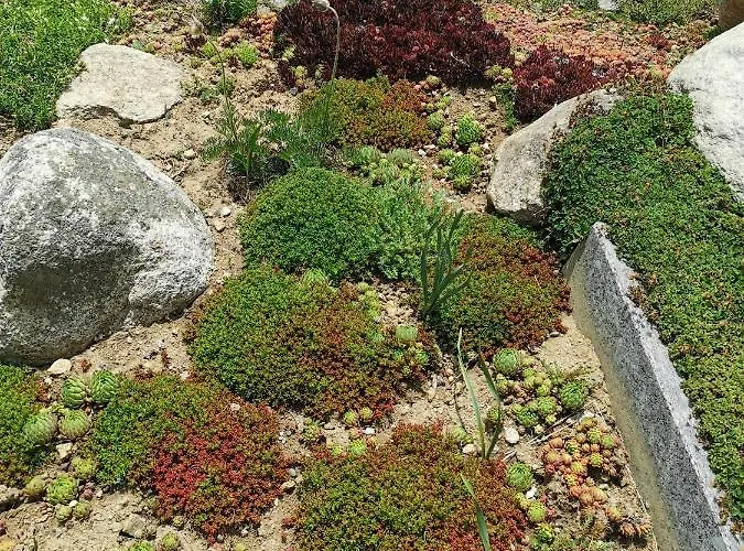 Mit Traumhafter Aussicht Goms