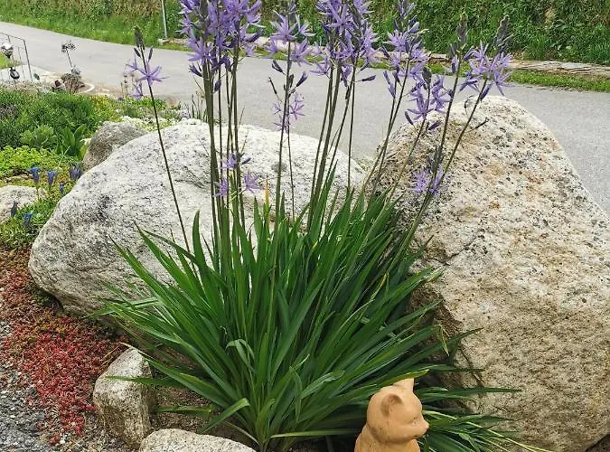 Mit Traumhafter Aussicht * Goms