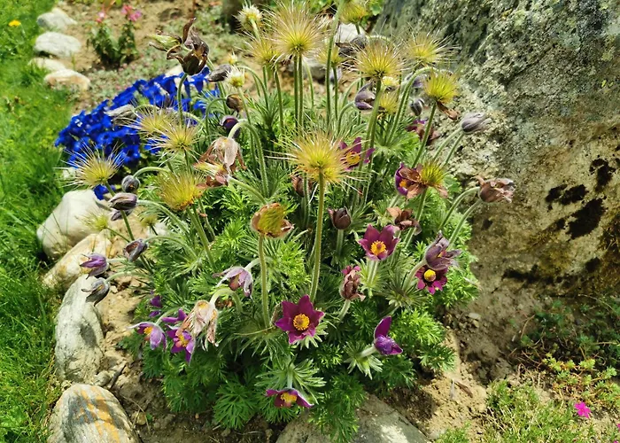 Mit Traumhafter Aussicht Apartman Goms