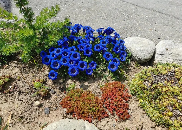 Mit Traumhafter Aussicht Apartman *