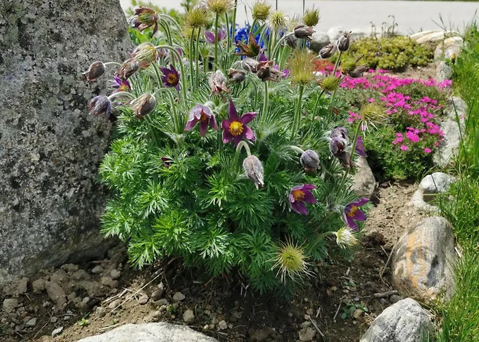 Apartman Mit Traumhafter Aussicht