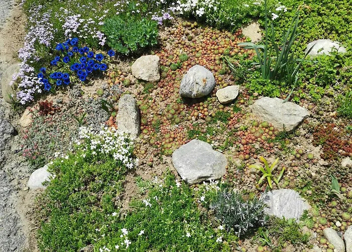 Mit Traumhafter Aussicht Apartman Goms