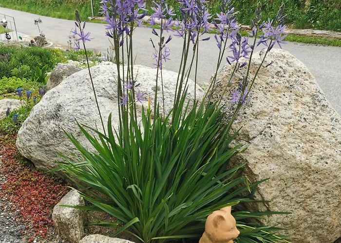 Mit Traumhafter Aussicht * Goms