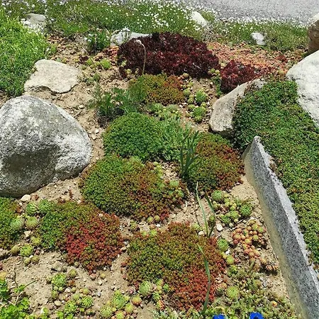 Mit Traumhafter Aussicht בליצינגן