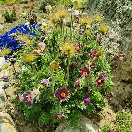 Mit Traumhafter Aussicht דירה בליצינגן