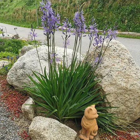 Mit Traumhafter Aussicht * בליצינגן