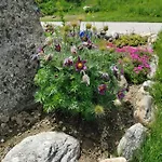 Διαμέρισμα Mit Traumhafter Aussicht Goms